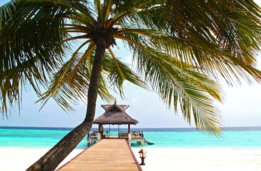 Stay In Villas That Feel Like A Dream Come True
